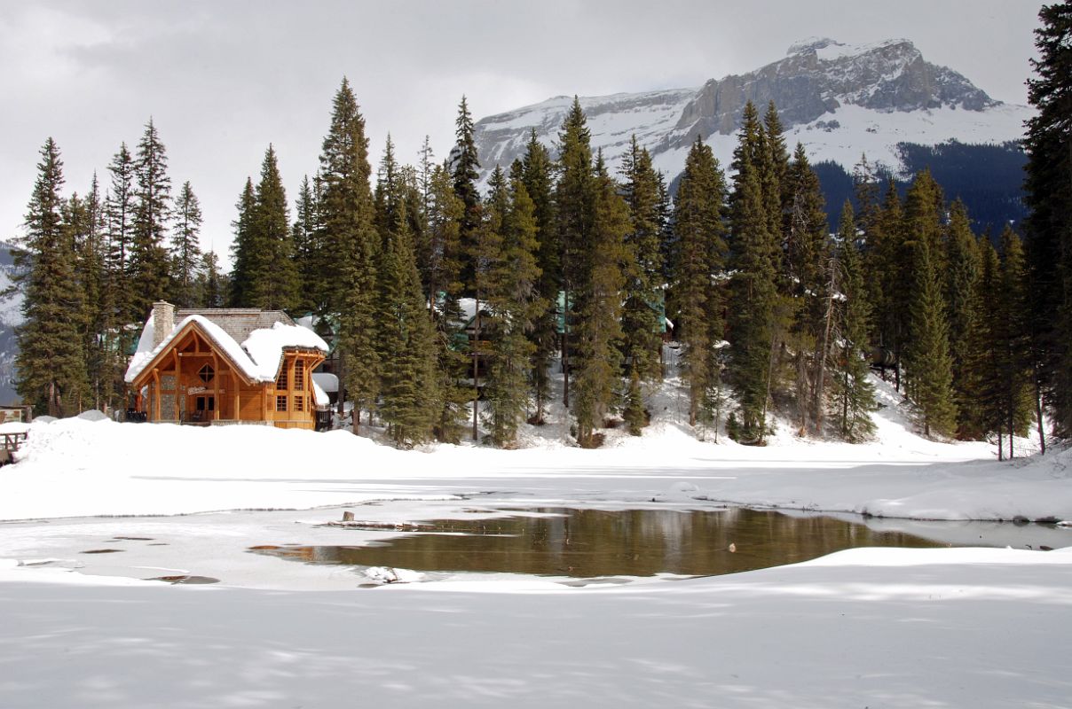 39 Cilantro On The Lake At Emerald Lake With Mount Wapta Behind In Yoho In Winter